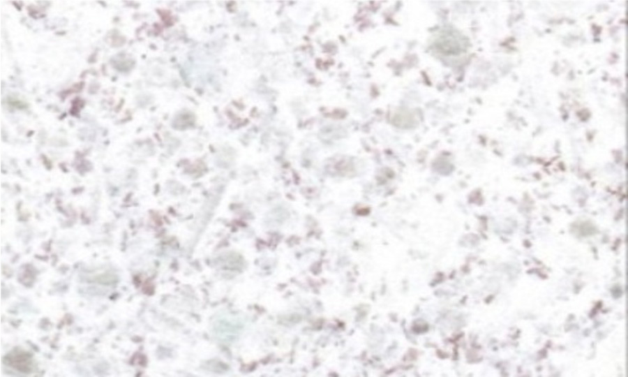 Pearl White Granite