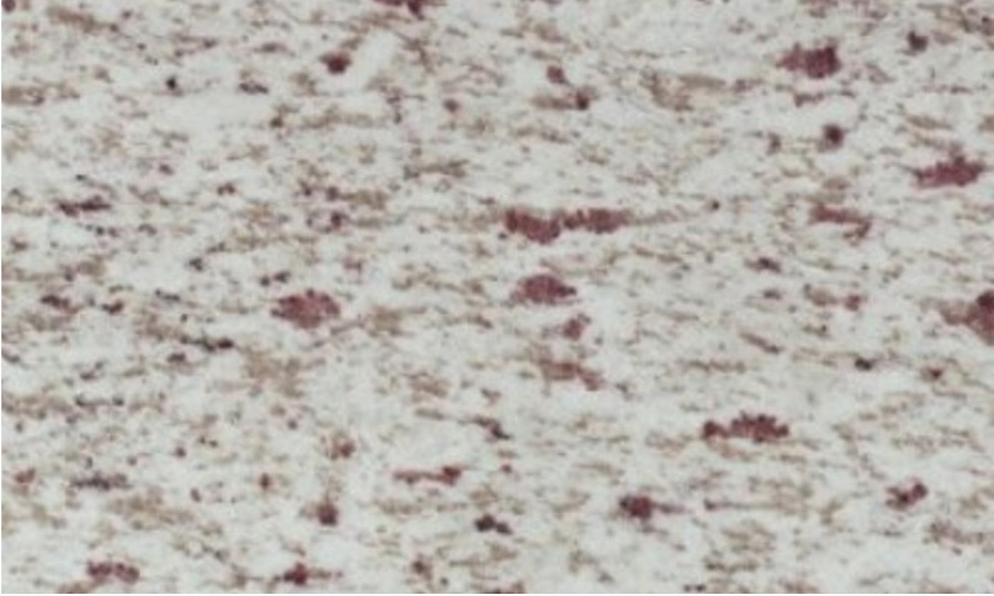 WHITE GALAXY GRANITE